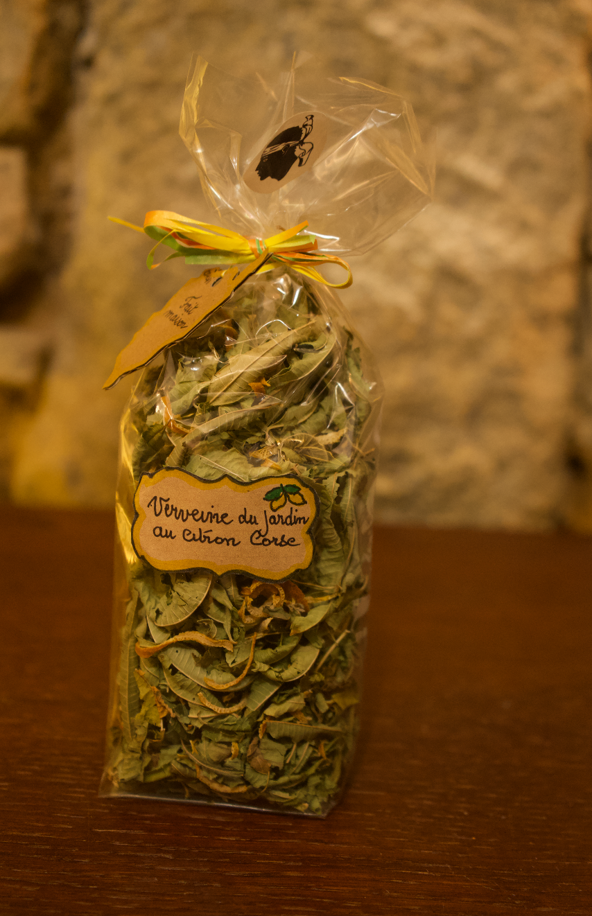 Verveine du jardin aux citrons Corses