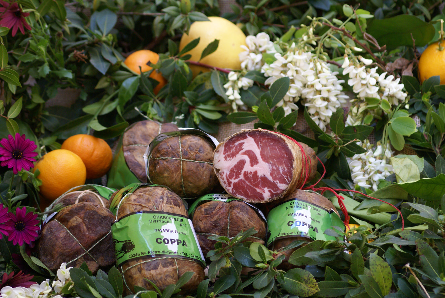 Coppa - Cochon Rose