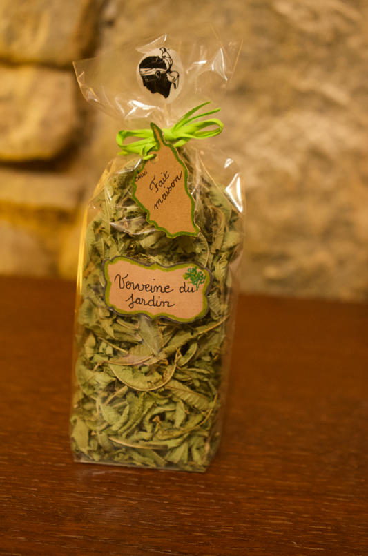 Verveine du jardin